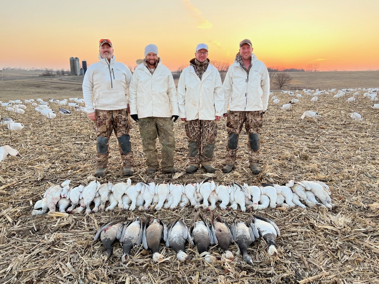 Whiteout Outfitters Spring Snow Goose Hunts spring-snow-goose-hunts-0301-0312-2023-2.jpg