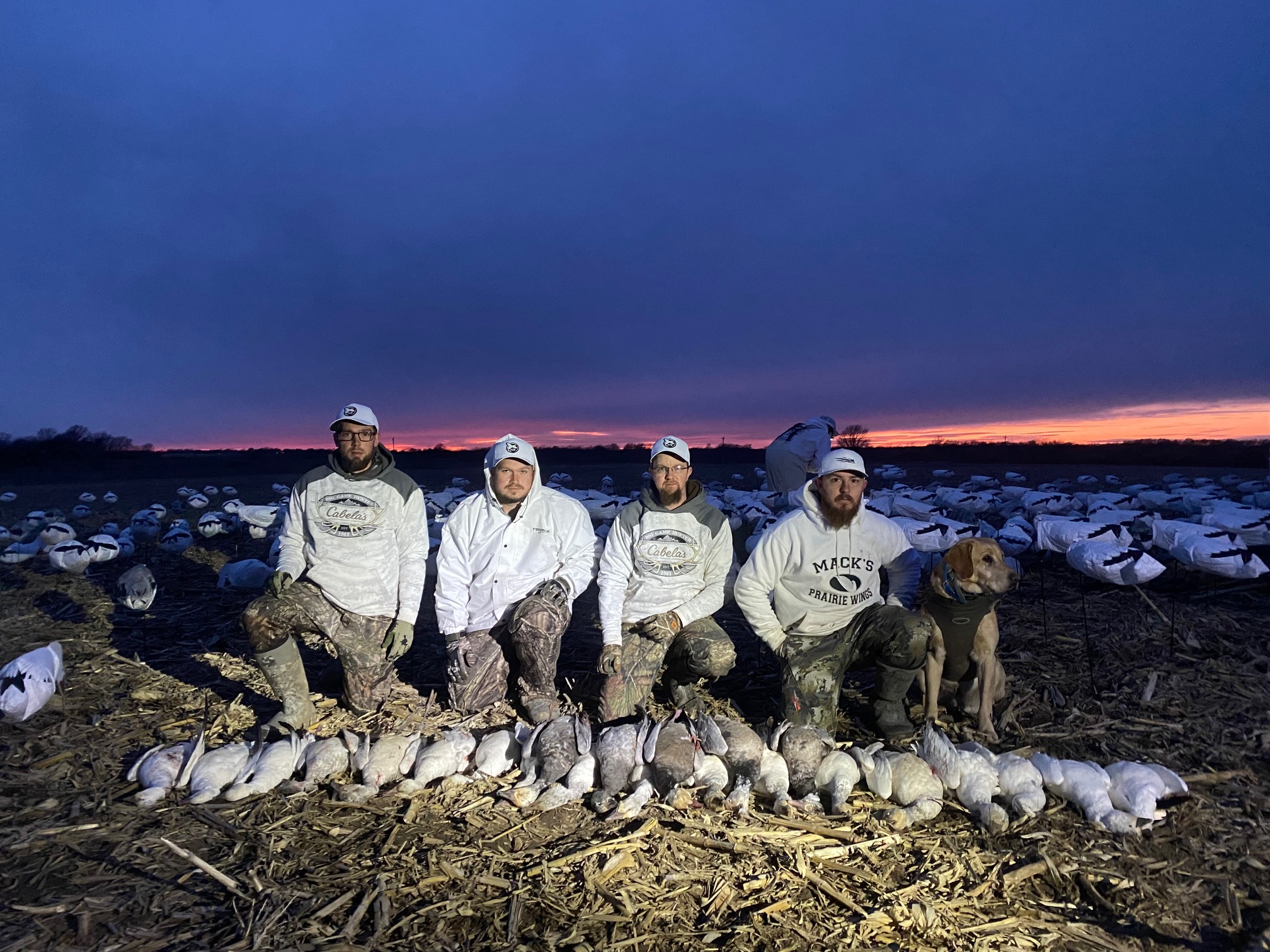Whiteout Outfitters Spring Snow Goose Hunts spring-snow-goose-hunts-whiteout-outfitters-022023.jpg