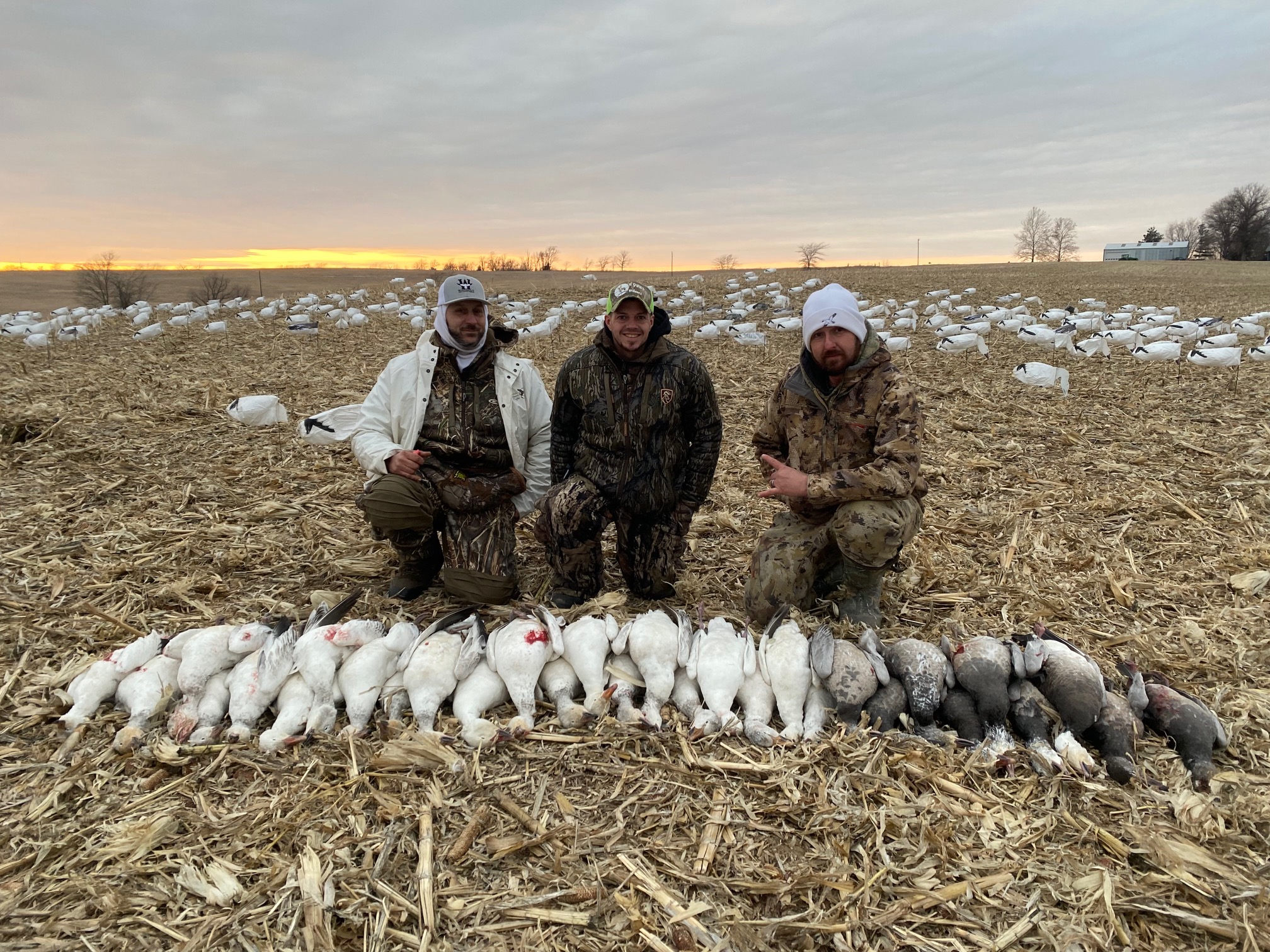 Whiteout Outfitters Spring Snow Goose Hunts spring-snow-goose-hunts-whiteout-outfitters-022423.jpg