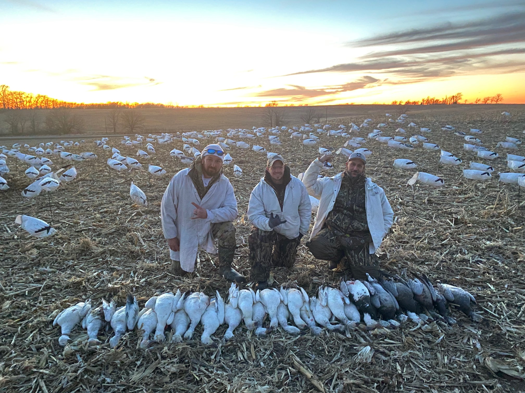 Whiteout Outfitters Spring Snow Goose Hunts spring-snow-goose-hunts-whiteout-outfitters-022523-3.jpg